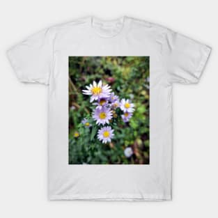 Autumn aster in blue T-Shirt